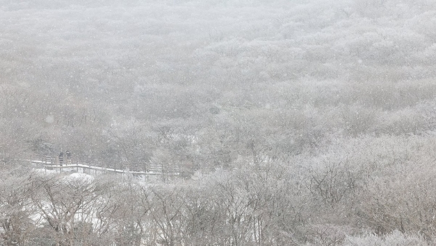 한라산· 설악산·치악산에 폭설...입산 전면 통제